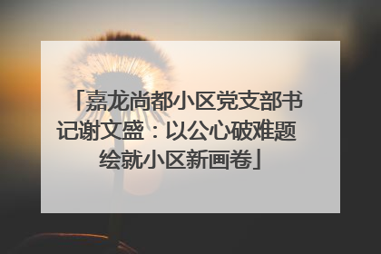 嘉龙尚都小区党支部书记谢文盛：以公心破难题 绘就小区新画卷