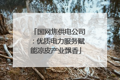 国网焦供电公司：优质电力服务赋能凉皮产业飘香