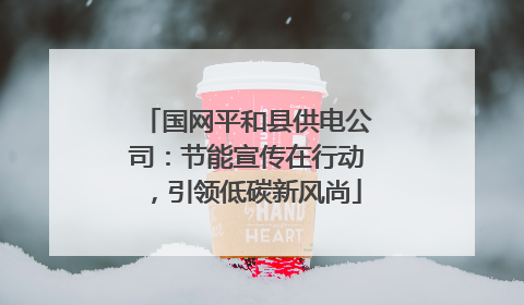 国网平和县供电公司：节能宣传在行动，引领低碳新风尚
