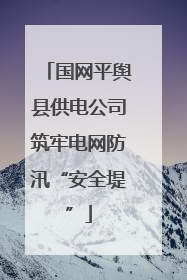国网平舆县供电公司筑牢电网防汛“安全堤”