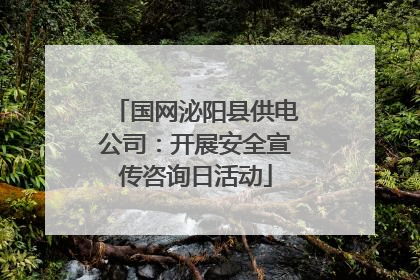 国网泌阳县供电公司：开展安全宣传咨询日活动