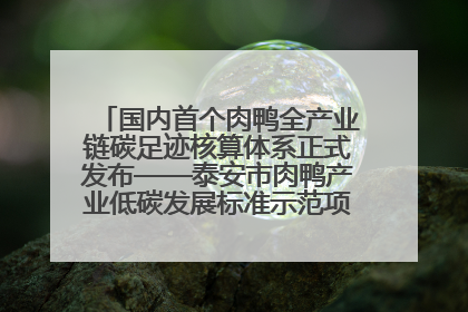 国内首个肉鸭全产业链碳足迹核算体系正式发布——泰安市肉鸭产业低碳发展标准示范项目顺利通过验收
