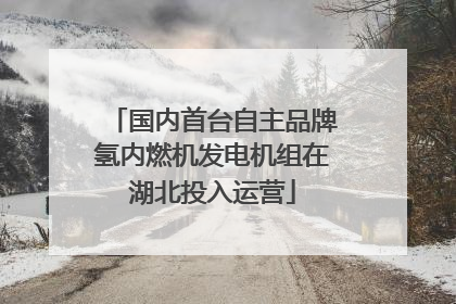 国内首台自主品牌氢内燃机发电机组在湖北投入运营