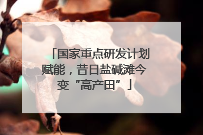 国家重点研发计划赋能，昔日盐碱滩今变“高产田”