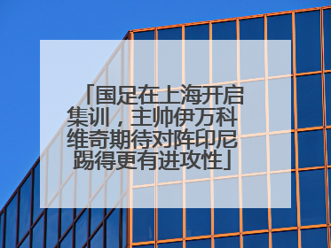 国足在上海开启集训，主帅伊万科维奇期待对阵印尼踢得更有进攻性