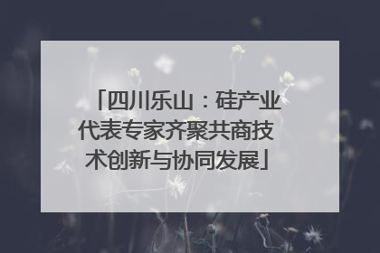 四川乐山：硅产业代表专家齐聚共商技术创新与协同发展