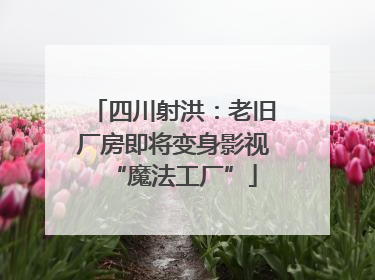 四川射洪：老旧厂房即将变身影视“魔法工厂”