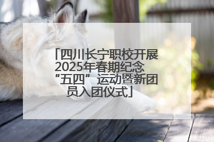 四川长宁职校开展2025年春期纪念“五四”运动暨新团员入团仪式