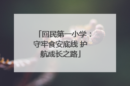 回民第一小学：守牢食安底线 护航成长之路
