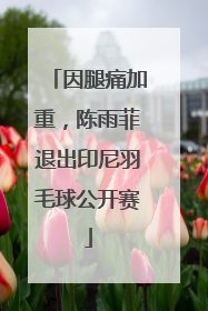 因腿痛加重，陈雨菲退出印尼羽毛球公开赛