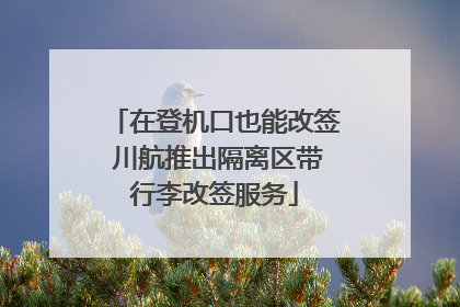 在登机口也能改签 川航推出隔离区带行李改签服务