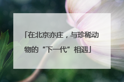 在北京亦庄，与珍稀动物的“下一代”相遇