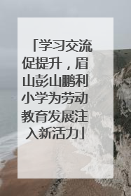 学习交流促提升，眉山彭山鹏利小学为劳动教育发展注入新活力
