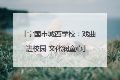 宁国市城西学校：戏曲进校园 文化润童心