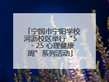 宁国市宁阳学校河沥校区举行“5・25 心理健康周”系列活动