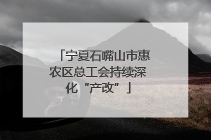 宁夏石嘴山市惠农区总工会持续深化“产改”