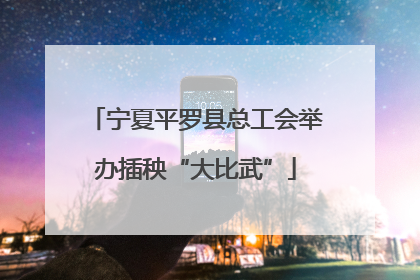 宁夏平罗县总工会举办插秧“大比武”