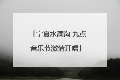 宁夏水洞沟 九点音乐节激情开唱