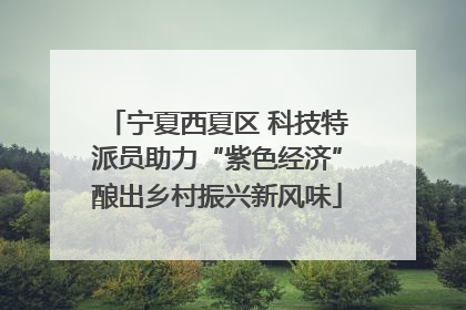 宁夏西夏区 科技特派员助力“紫色经济”酿出乡村振兴新风味