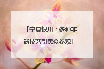 宁夏银川：多种非遗技艺引民众参观