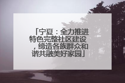 宁夏：全力推进特色完整社区建设，缔造各族群众和谐共融美好家园