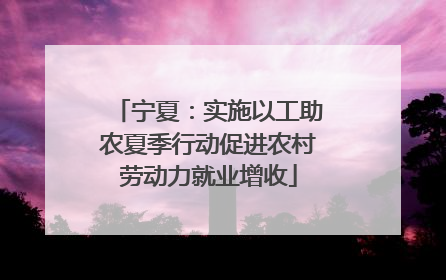 宁夏：实施以工助农夏季行动促进农村劳动力就业增收