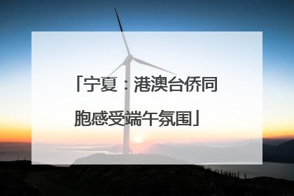 宁夏：港澳台侨同胞感受端午氛围