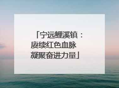 宁远鲤溪镇：赓续红色血脉 凝聚奋进力量