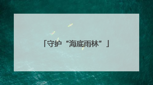 守护“海底雨林”