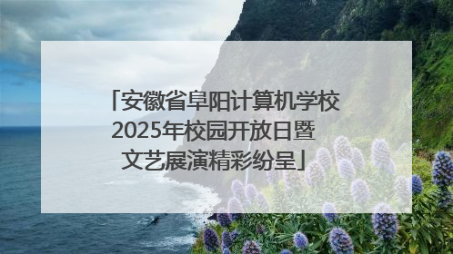 安徽省阜阳计算机学校2025年校园开放日暨文艺展演精彩纷呈
