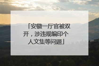 安徽一厅官被双开，涉违规编印个人文集等问题