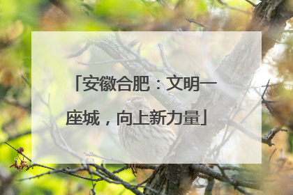 安徽合肥：文明一座城，向上新力量