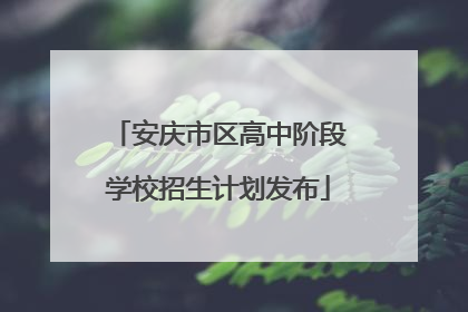 安庆市区高中阶段学校招生计划发布