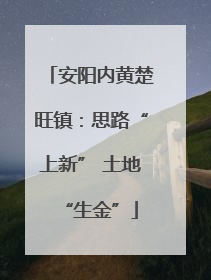 安阳内黄楚旺镇：思路“上新” 土地“生金”
