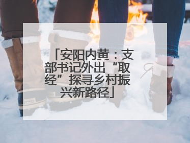 安阳内黄：支部书记外出“取经”探寻乡村振兴新路径