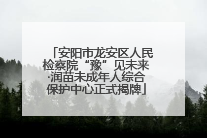 安阳市龙安区人民检察院“豫”见未来·润苗未成年人综合保护中心正式揭牌