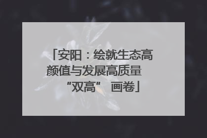 安阳：绘就生态高颜值与发展高质量 “双高” 画卷