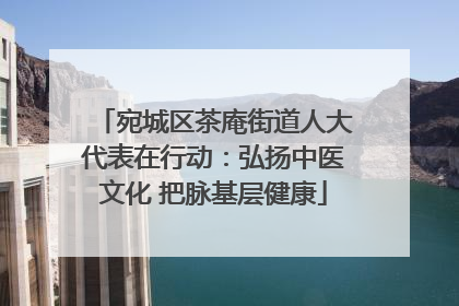 宛城区茶庵街道人大代表在行动：弘扬中医文化 把脉基层健康