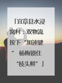 宜章县水浸窝村：双物流按下“加速键” 杨梅锁住“枝头鲜”