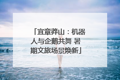 宜章莽山：机器人与企鹅共舞 暑期文旅场景焕新