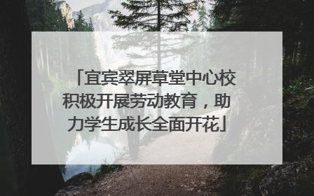 宜宾翠屏草堂中心校积极开展劳动教育，助力学生成长全面开花
