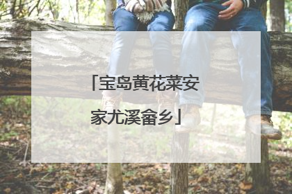 宝岛黄花菜安家尤溪畲乡