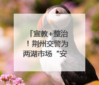 宣教+整治！荆州交警为两湖市场“安全护航”