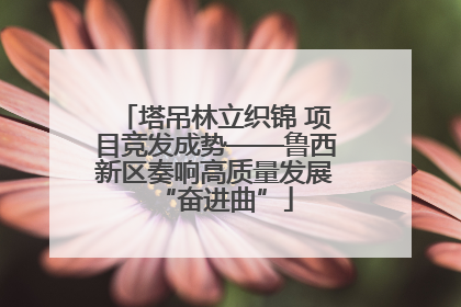 塔吊林立织锦 项目竞发成势——鲁西新区奏响高质量发展“奋进曲”