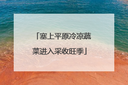 塞上平原冷凉蔬菜进入采收旺季