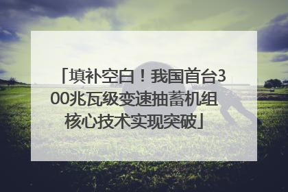 填补空白！我国首台300兆瓦级变速抽蓄机组核心技术实现突破