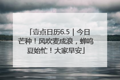 壹点日历6.5｜今日芒种！风吹麦成浪，蝉鸣夏始忙！大家早安