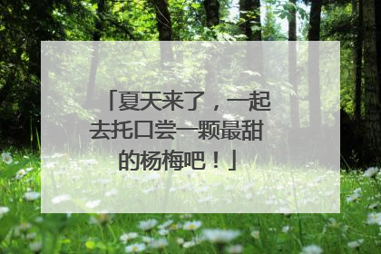 夏天来了，一起去托口尝一颗最甜的杨梅吧！