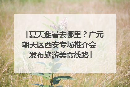 夏天避暑去哪里？广元朝天区西安专场推介会 发布旅游美食线路
