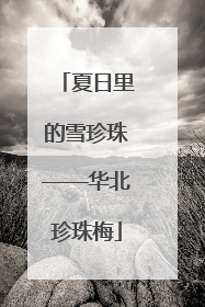 夏日里的雪珍珠——华北珍珠梅
